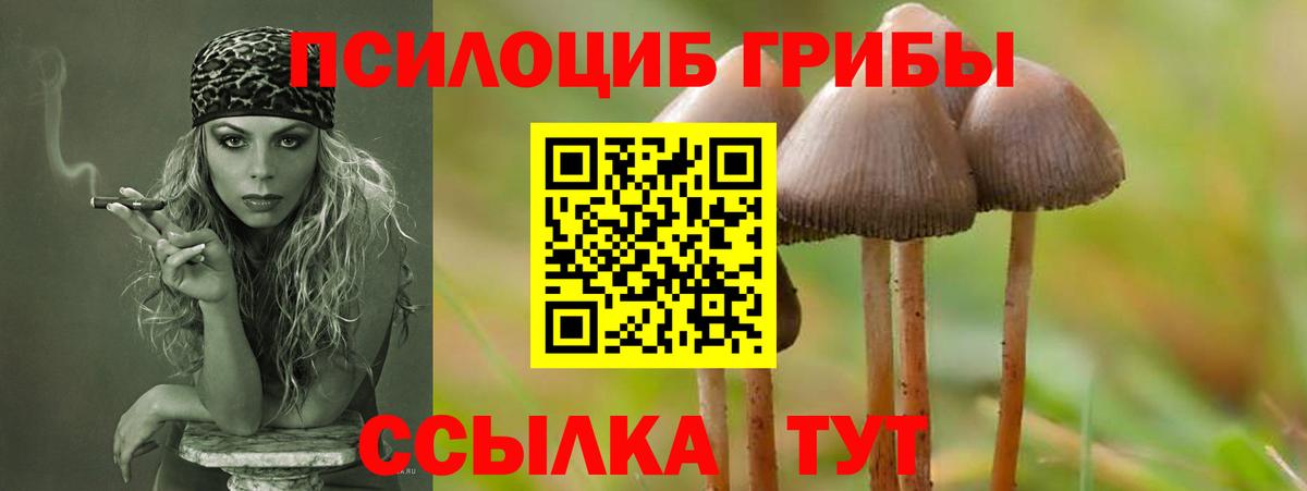 Галлюциногенные грибы мицелий  Вход с VPN  Ачхой-Мартан  Псилоцибиновые грибы прущие грибы 